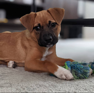 Fundraising Page: Millie PAC Alum